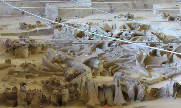 Image - Hintsi archeological site: mammoth-bone dwelling remains.