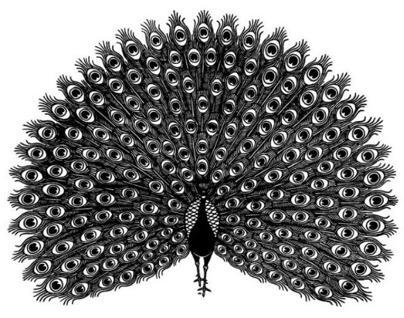 Image -- Jacques Hnizdovsky: Peacock.