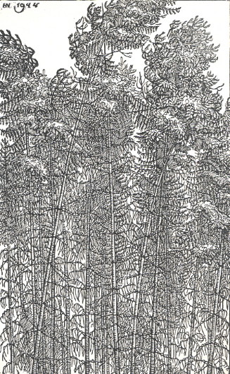 Image -- Jacques Hnizdovsky: Trees.
