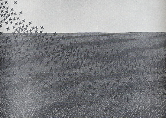 Image -- Jacques Hnizdovsky: Wheatfield (1960).