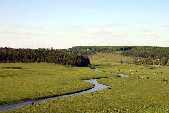 Image - The Hnizna River near Bavoriv, Ternopil oblast.