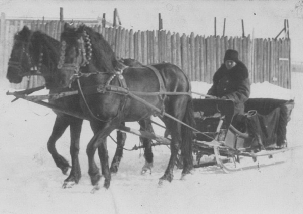 Image - A horse-drawn sledge at Christmas time