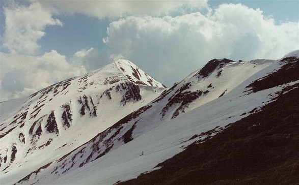 Image -- Mount Hoverlia in Chornohora in the spring.