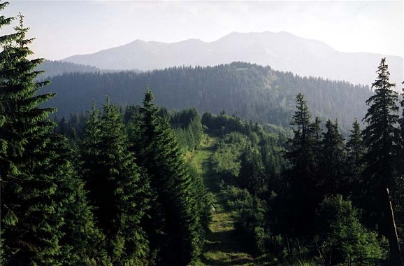 Image -- Ukrainian-Rumanian border running through the Hutsul Alps near Mount Pip Ivan (Carpathians).