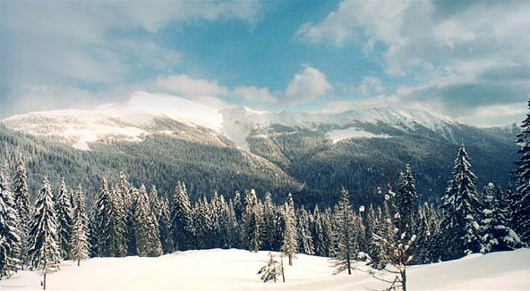 Image -- Hutsul Alps landscape.