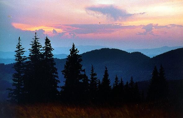 Image -- Hutsul Alps landscape near Rakhiv.