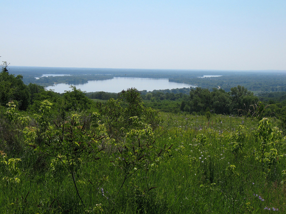 Image -- Kaniv Nature Reserve near the village of Pekari.