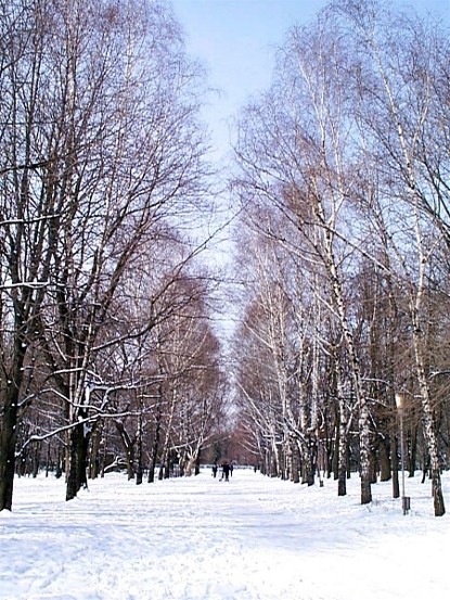 Image -- Kharkiv: the Shevchenko Gardens.