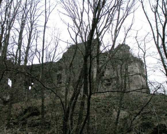 Image -- The Khust castle.