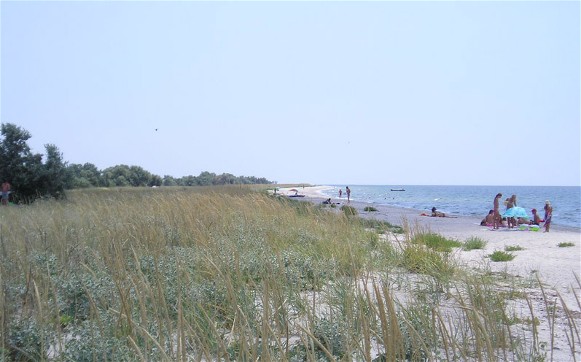 Image -- A beach on the Kinburn Spit.