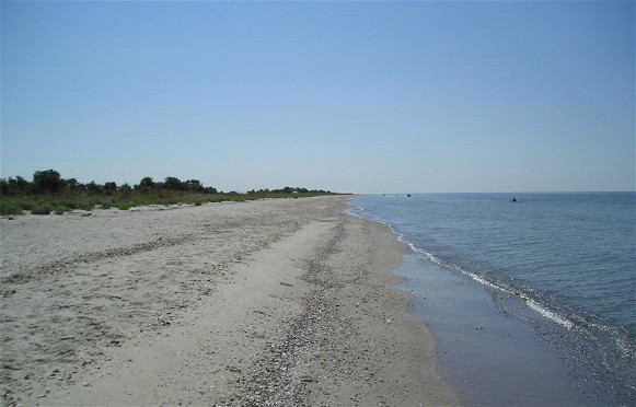 Image - The shore of the Kinburn Spit.