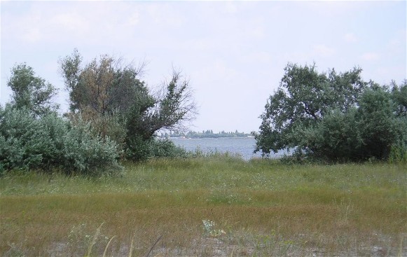 Image -- The Kinburn Spit.