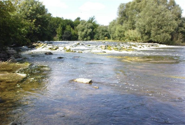 Image - The Kodyma River near Kryve Ozero.