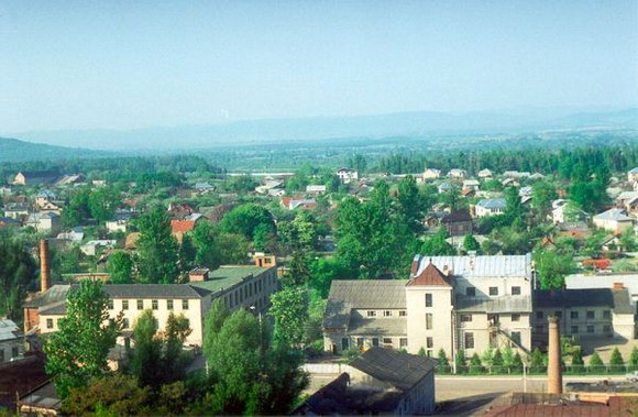 Image -- A view of Kolomyia.