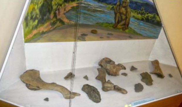 Image -- Korolevo archeological site (artefacts exhibit).