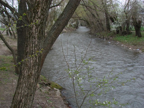 Image -- The Koropets River near Koropets, Ternopil oblast.