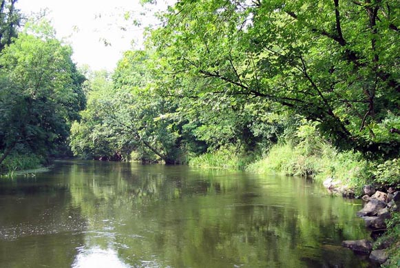 Image - The Korsun-Shevchenkivskyi park.