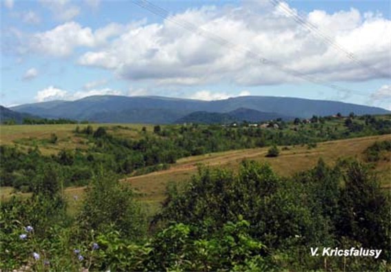 Image - A panorama of the Krasna mountain group in the Polonynian Beskyd.