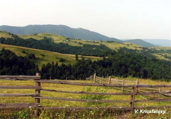 Image - A panorama of the Krasna mountain group in the Polonynian Beskyd.