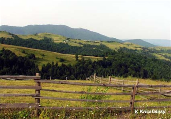 Image -- A panorama of the Krasna mountain group in the Polonynian Beskyd.