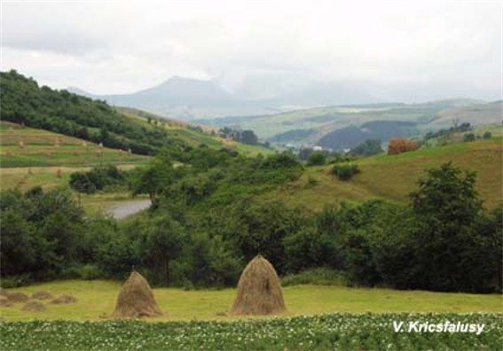 Image -- A panorama of the Krasna mountain group in the Polonynian Beskyd.