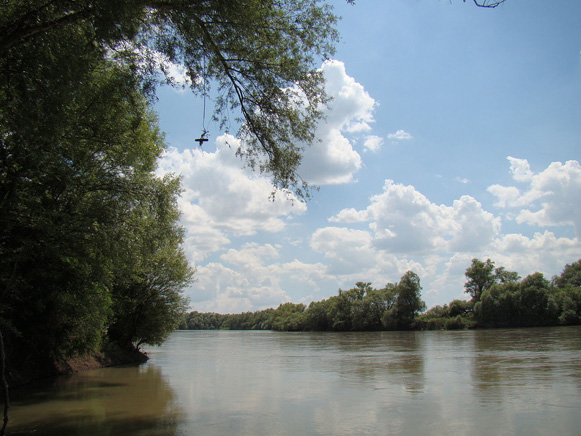 Image - The Laba River near Ust_Labinsk, Krasnodar Krai.