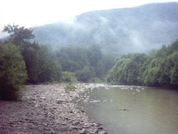 Image -- The Liatorytsia River.