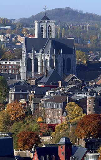 Image -- Liege, Belgium: Saint Martins Cathedral.
