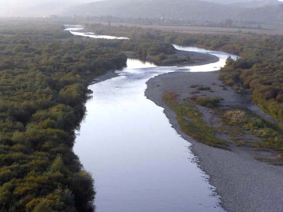 Image - The Limnytsia River flowing through the Halych National Nature Park.