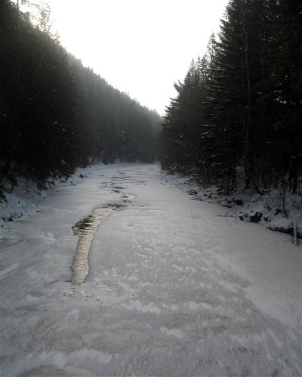 Image -- The Limnytsia River