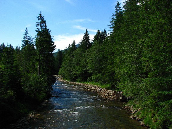 Image -- The Limnytsia River