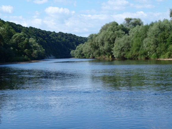 Image - The Limnytsia River