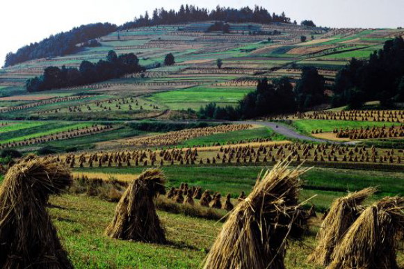 Image - Landscape in the Little Poland region.