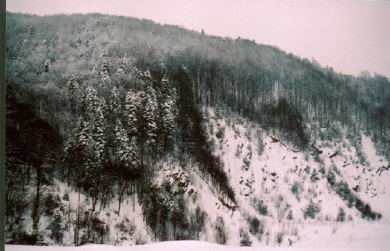 Image -- Low Beskyd landscape in the vicinity of Losie.