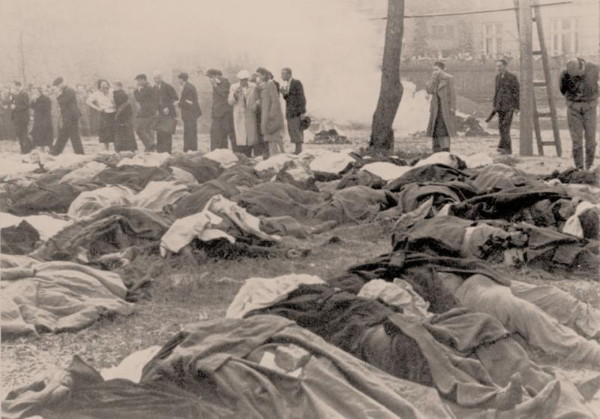 Image - Lviv: victims of NKVD killings (1 July 1941).