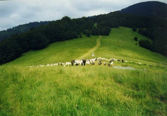 Image -- The Prislop Pass in the southern part of the Maramures-Bukovynian Upland.