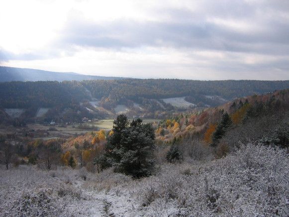 Image - Middle Beskyd near Ustryky Dolishni (Ustrzyki Dolne).