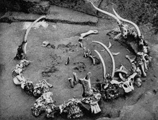 Image - Mizyn archeological site: mammoth bone dwelling remnants.