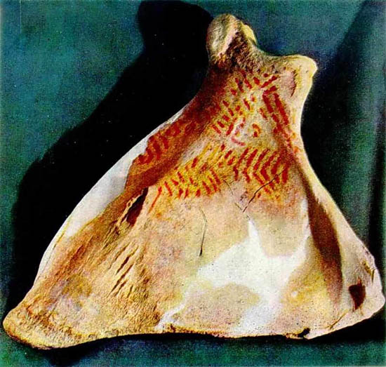 Image - Mizyn archeological site: ornamented mammoth bone (used as musical instrument).
