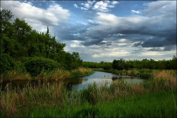 Image -- The Molochna River in Zaporizhia oblast.