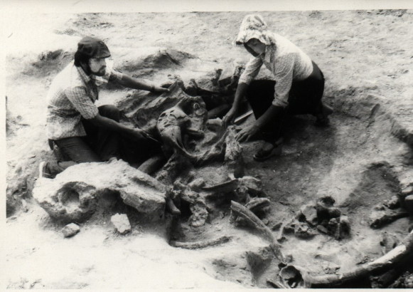Image -- Archeological excavations in Molodove I, Chernivtsi oblast.
