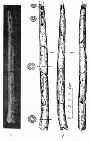 Image -- The Molodove archeological site: Paleolithic flutes.