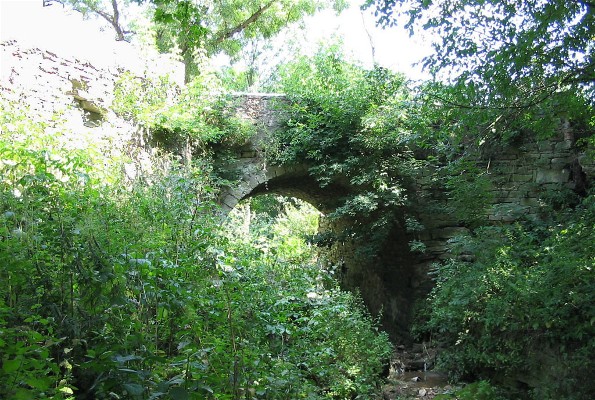 Image -- The park surrounding the Komar family palace in the village of Murovani Kurylivtsi.