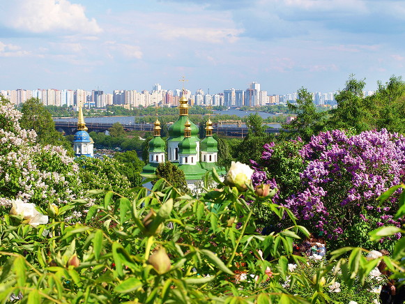 Image -- The National Botanical Garden in Kyiv (lilacs garden).