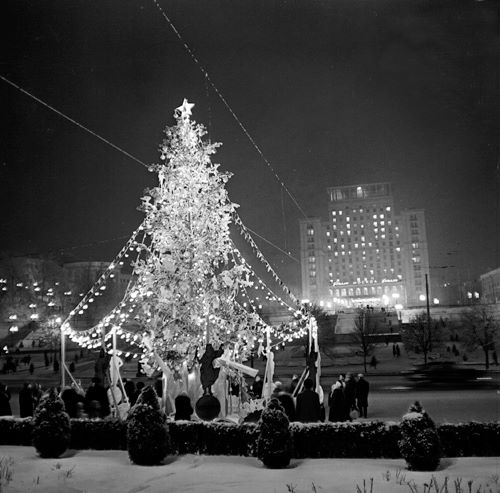 Image -- New Years tree (Kyiv 1962).