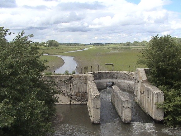 Image -- A dam on the Nichlava River near Hadynkivtsi, Ternopil oblast.