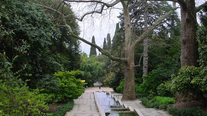 Image -- The Nikita Botanical Garden near Yalta in the Crimea.