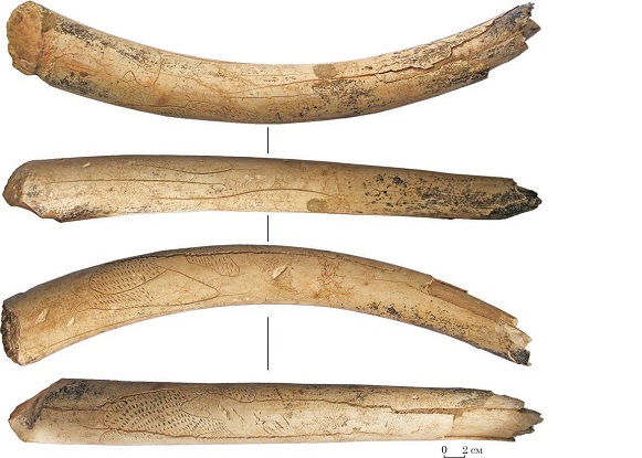 Image -- Obolonnia archeological site: ornamented mammoth tusk (ca 20,000 years old).