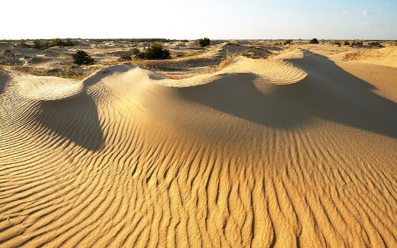 Image - View of the Oleshia Sands.