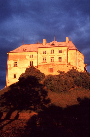 Image -- The Olesko castle (13th-18th centuries).